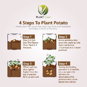 Olive Green Potato Grow Bags