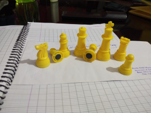 Magnetic Chess Coins