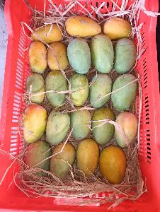 Organic Kesar Mangoes
