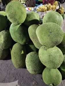 Jackfruit