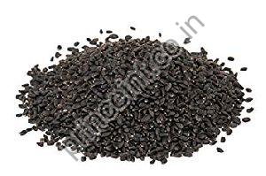 Basil Oil Seeds