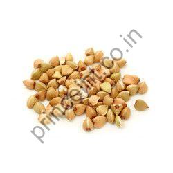 Egoma Herbal Seeds