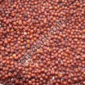 Finger Millets
