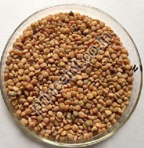 Guar Gum