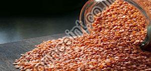 Red Lentils