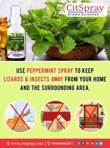 Peppermint essetial oil