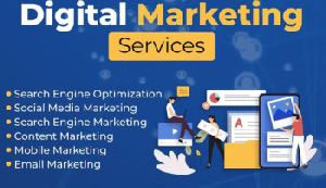 Seo Service