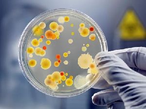 microbiological testing services