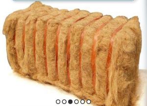 bristle coir fibre