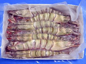 Frozen HOSO  Black Tiger Shrimps