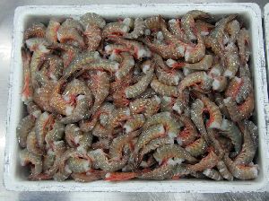 Frozen Karikkadi Shrimps