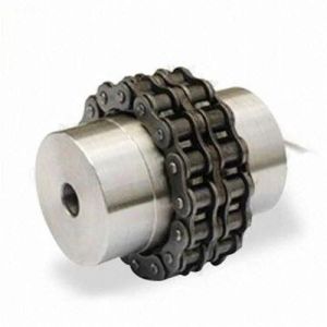 Roller Chain Coupling