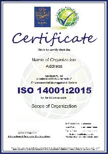 iso 14001 consultant