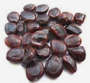 Tamarind Seed