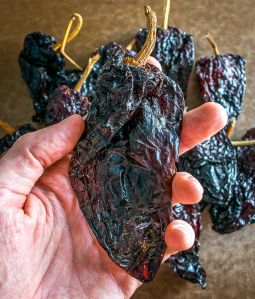 ancho dry Chilli