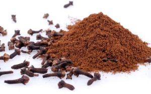 Clove Powder