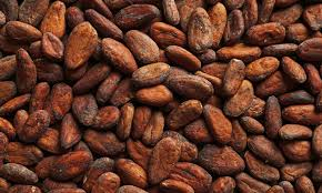 Cocoa Seeds