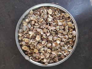 Bibhitaki Husk