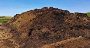 Organic Cow Dung