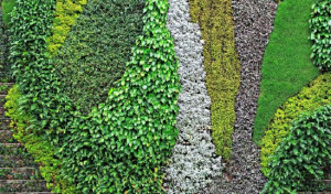 Urban Greenery Solution Service