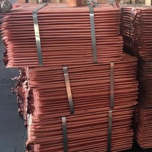 Copper Cathodes