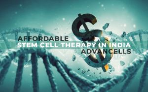 Stem Cell Therapy