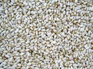 White Safflower Seeds