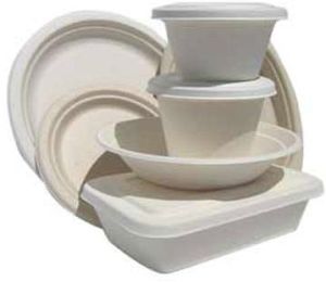 Bagasse Disposable Plate