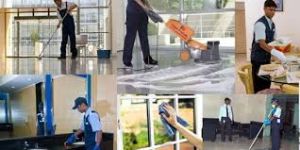 janitorial cleaning services