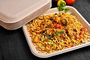 Bagasse Disposable Plate