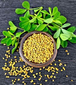 indian fenugreek seeds