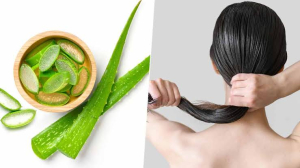 aloe vera hair shampoo conditioner