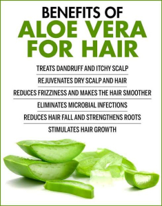 aloe vera hair conditioner