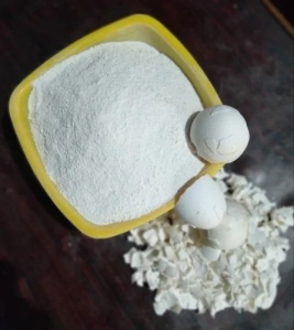 Egg White Powder