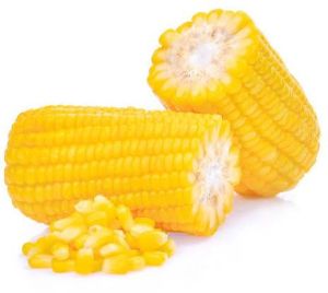 Corn Cobs