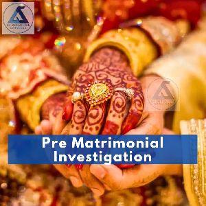 Pre Matrimonial Investigation Agency