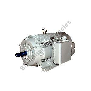 CG Industrial Motor