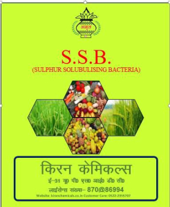 Sulphur solubilizing bacteria