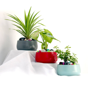 Indoor Flower Pots