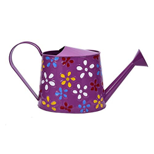 Purple Metal Watering Can