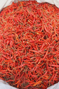 Organic Daiveek Red Chilli