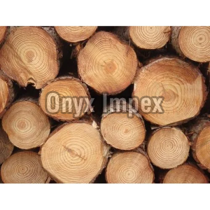 Canadian Pine Wood Lumbers