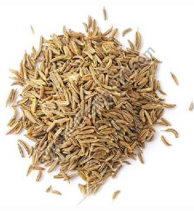 Cumin Seeds