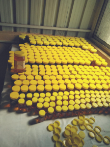 Process & Packing Honey