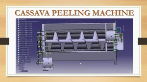 cassava peeling machine