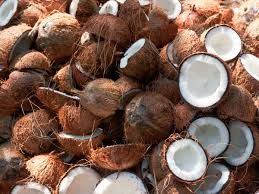 Coconut