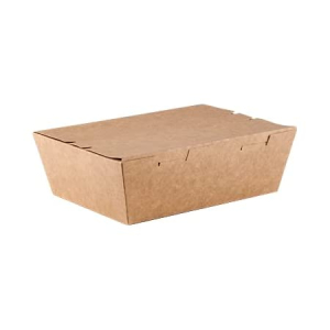 Paper Thali Box