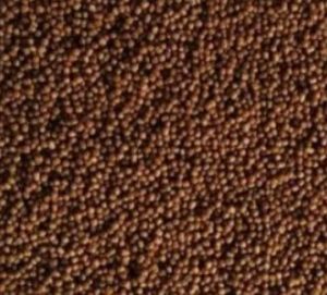 0.8 mm Nutriplus Fish Feed