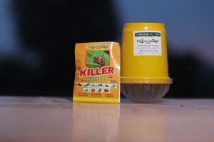 Melon Fly Lure