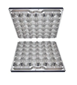 Egg tray Mould